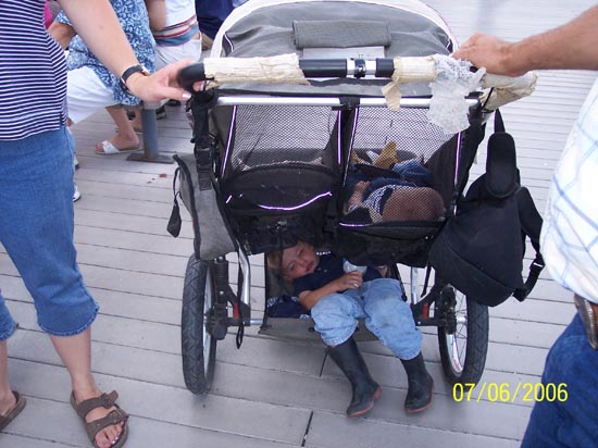 2006 family reunion in Yellowstone National Park